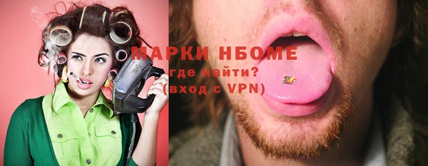 apvp Иннополис