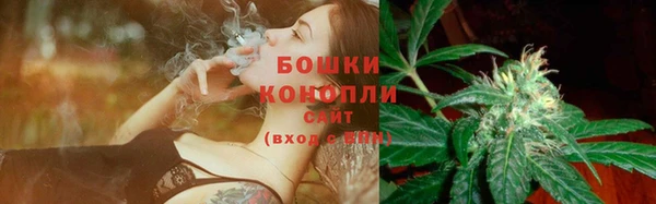 стаф Нягань