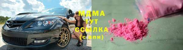 индика Инта